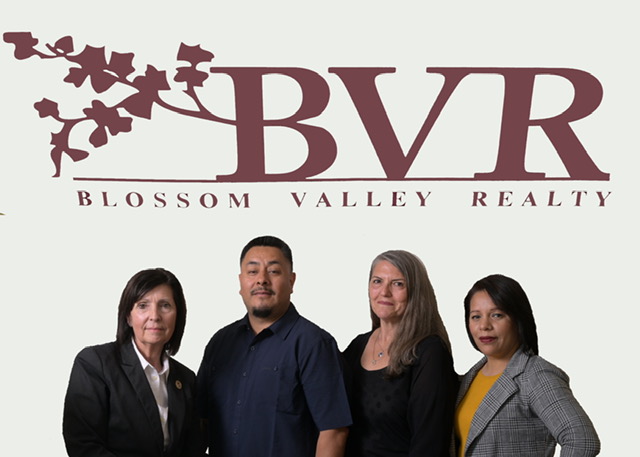 Blossom Valley Realty